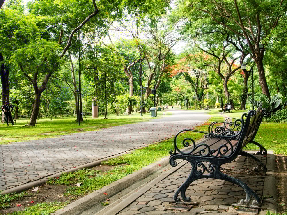 Visiting a park could make you as completely happy as Christmas
