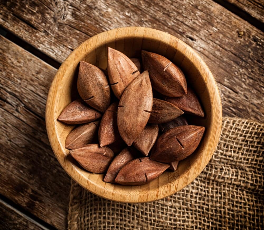 What are pili nuts?