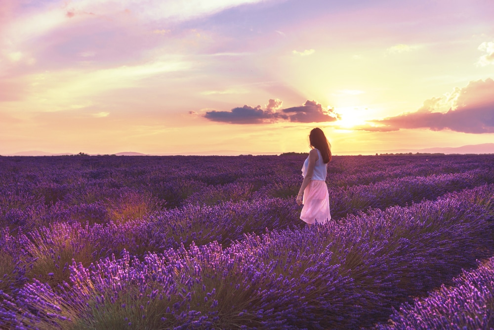 Why you must attempt strolling meditation