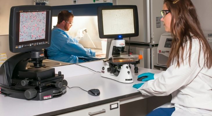 What Low Imaginative and prescient Clinic Can Do For You: A Information to Eye Care