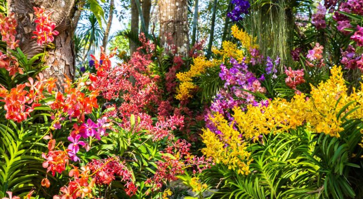 Which flowers are you able to plant within the backyard?