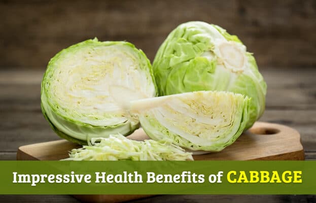 Causes You Ought to Eat Cabbage day by day